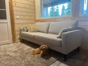 Ruka Snow&Sun 3 - 2 ski tickets included