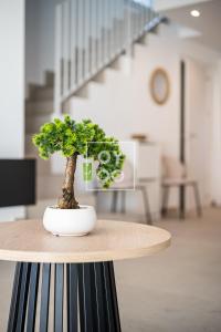 Villa Oasis Mar Menor, private pool, walk to beach, by OYOOSTAYS