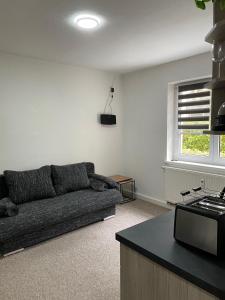 Charmante EG-Ferienwohnung für max 6 Personen, nähe Vogtland-Klinikum, Innenstadt, Bahnhof & Sehenswürdigkeiten