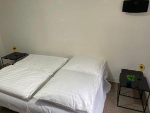 Charmante EG-Ferienwohnung für max 6 Personen, nähe Vogtland-Klinikum, Innenstadt, Bahnhof & Sehenswürdigkeiten