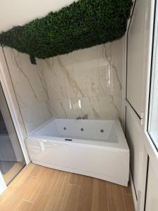 Il regno di portacapuana