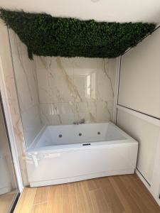 Il regno di portacapuana