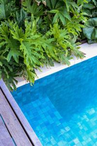 Hidden Cabin Studio Apartment in Manly
