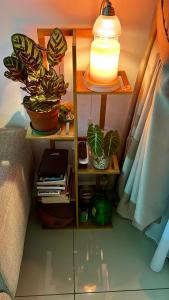 The green nest