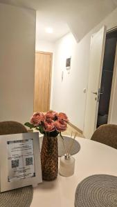 Sunshore Center apartment #1