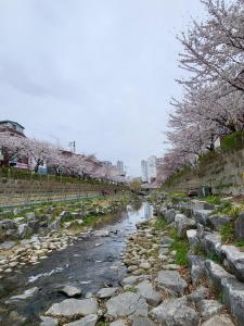 블랙핑크 제니픽 성북동 서울 야경 낙산공원 광화문 명동 주차가능 24시 셀프체크인