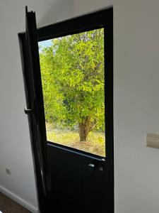 Stay on a Vineyard in Douro Valley Quinta de Alvites