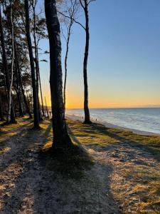 Apartament Letni Wiatr