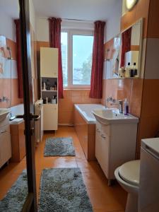 Apartament Constantin