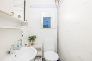 Santas Aurora Wonderland