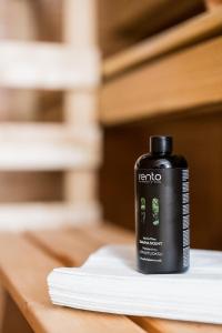 Santas Aurora Wonderland