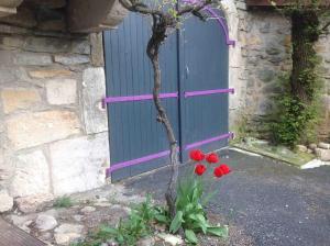 CARDABELLE maison authentique à louer