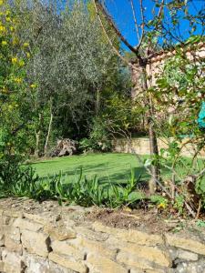 Dans un oasis de verdure - appartement