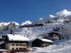 Chardonnerets 5