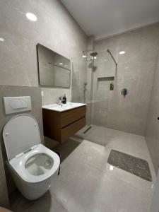 Cozy Apartment Radauti