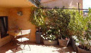 Le Sainte-Victoire - Studio cosy avec sa jolie terrasse - Centre ville historique