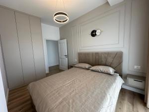 Cozy Apartment Radauti