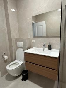 Cozy Apartment Radauti