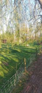 Vakantieverblijf de Barre Hichte, Grindweg 4 Nijeberkoop