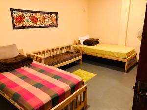 Hotel mango tree nearest Adams peak