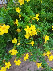 Hotel suites Las Abuelas