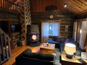 Ahmanpesä Visit Levi