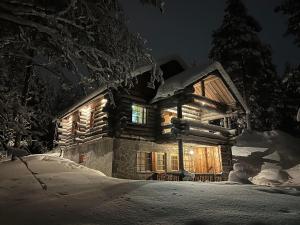 Ahmanpesä Visit Levi