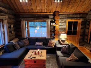 Ahmanpesä Visit Levi