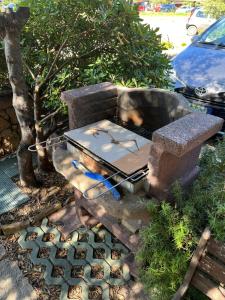 Le Canne - Appartamento "Sole" img13