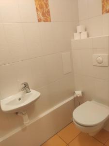 SOURCE WITHIN - Lipno