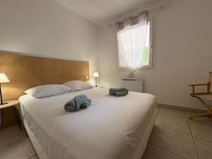 Vue piscine Appartement sympa