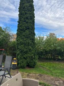 Small guesthouse in garden