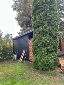 Small guesthouse in garden