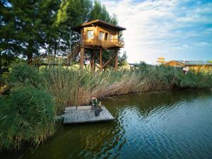 Ježibaba domček - Jezsibaba házikó
