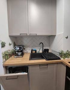 Życzliwy Apartament z garażem