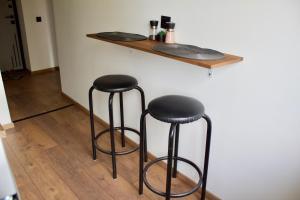 Modern Apartment in Jekabpils Nr2