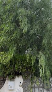 Vintage Home - bilocale in Salento