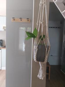 La cerisaie - cocon bohème entre nature et centre de Blanquefort