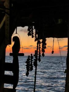 DespertArte espacio de Arte y Hospedaje