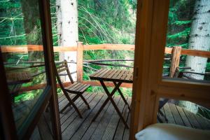 Veža v korunách stromov