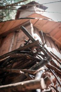 Veža v korunách stromov