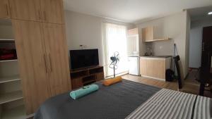 Elegante monoambiente