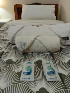 Casa Centro Santiago