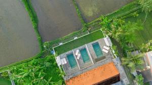 The Surana Villas Ubud with Rice Field View