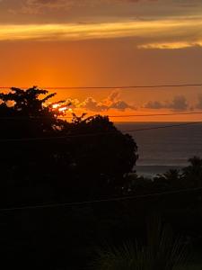Tres Palmas Boutique Hotel