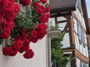 Apartment Familie Scheibel