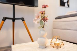 Pluminous Studio- Free Parking- No staircase