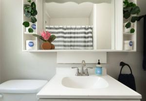 2 Bed 1 Bath, Pet Friendly near downtown Indy