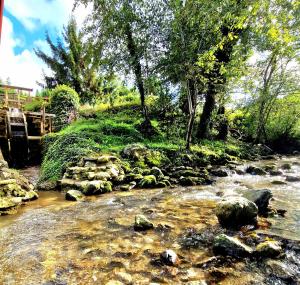 Atelje Mlin Umetnin Retreat