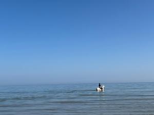 Villa Capucine beach 200 m away, close to Deauville